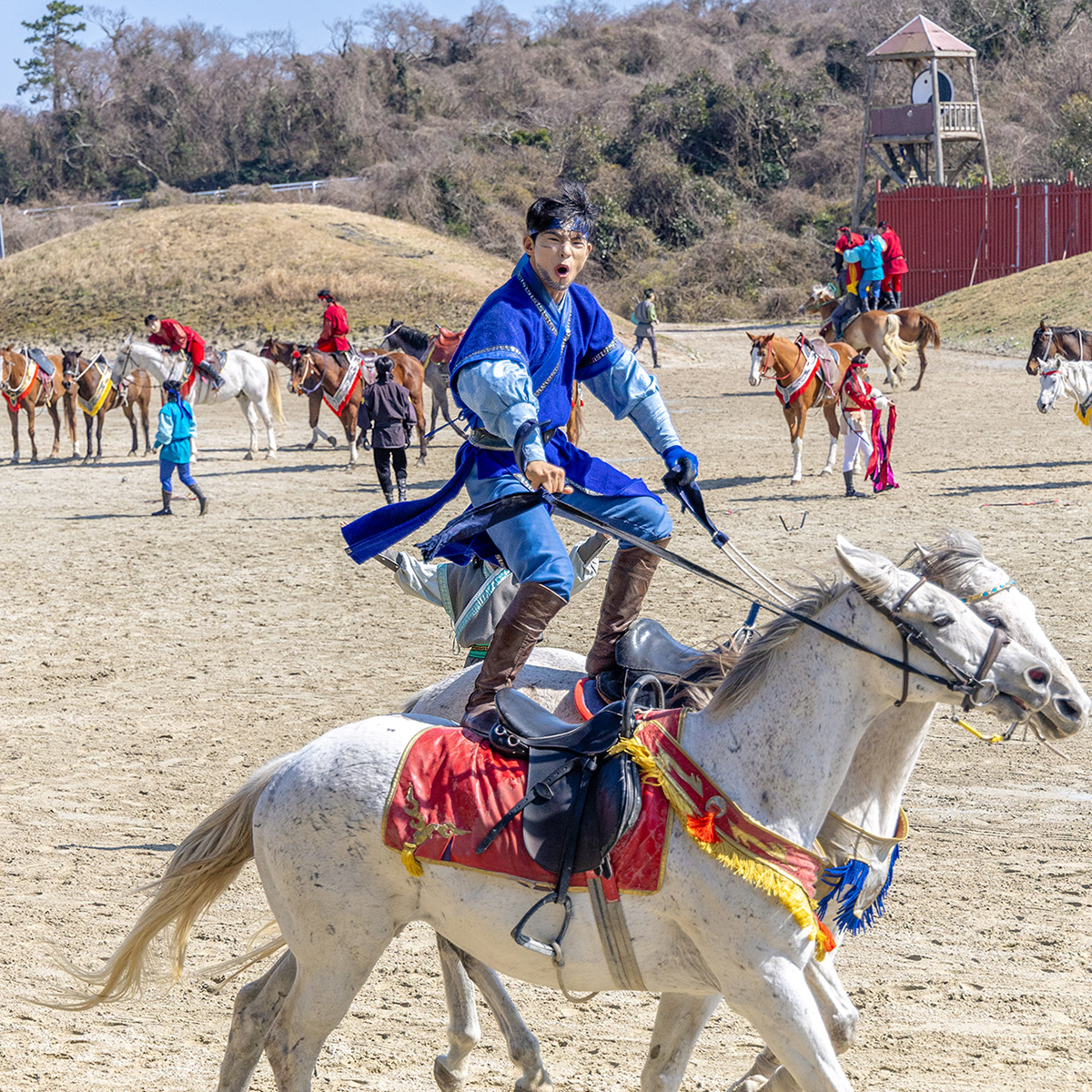 더마파크